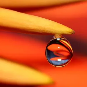 Microbial Biofertilizers