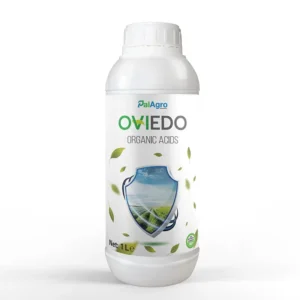 OVIEDO