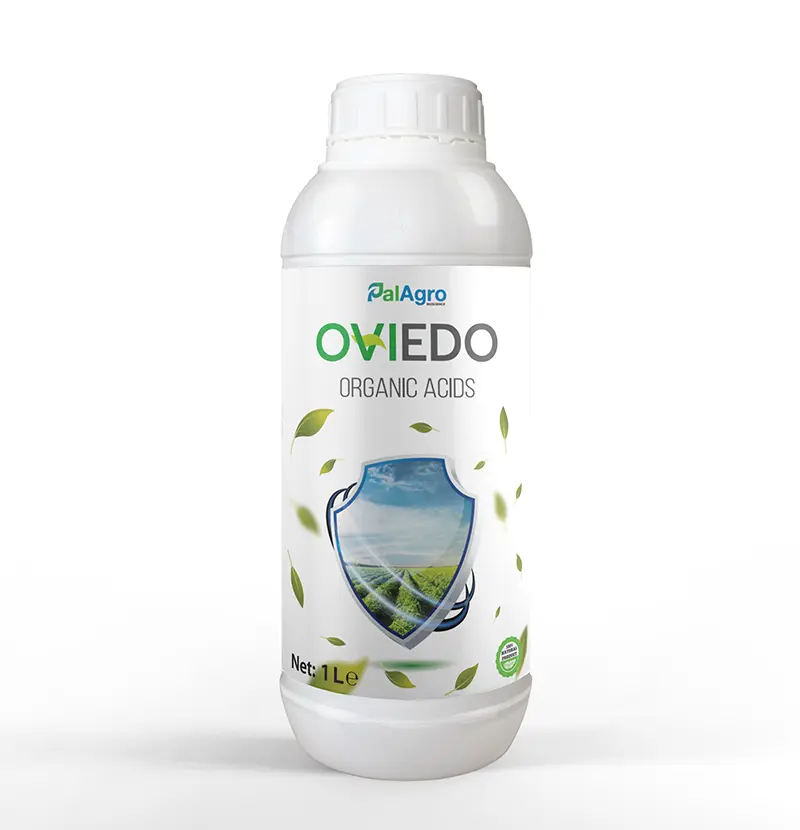 OVIEDO
