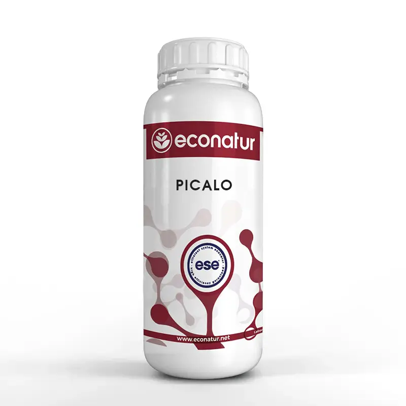 PİCALO