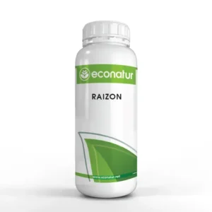 RAIZON